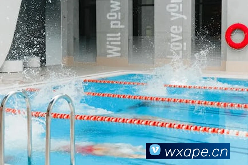 hth体育app官网下载平台生态图