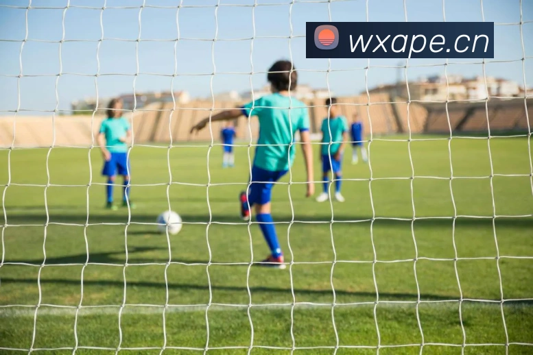 hth体育app官网下载全站App